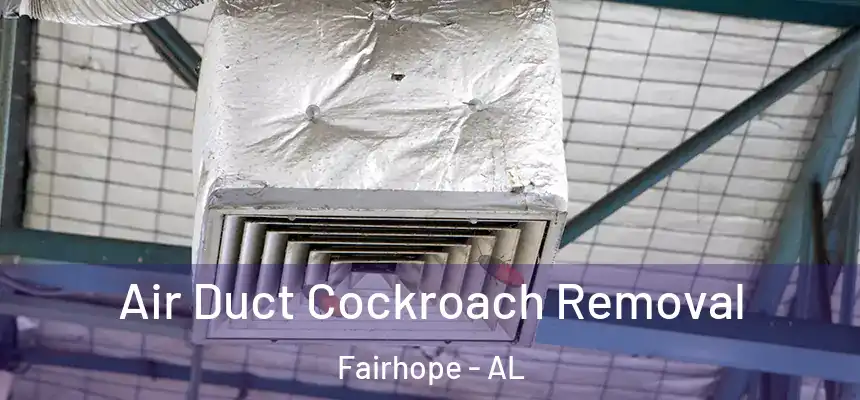  Air Duct Cockroach Removal Fairhope - AL
