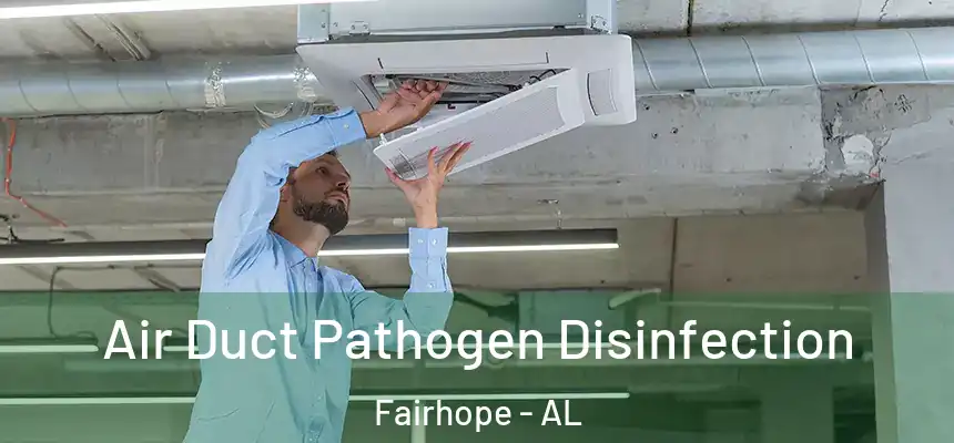  Air Duct Pathogen Disinfection Fairhope - AL