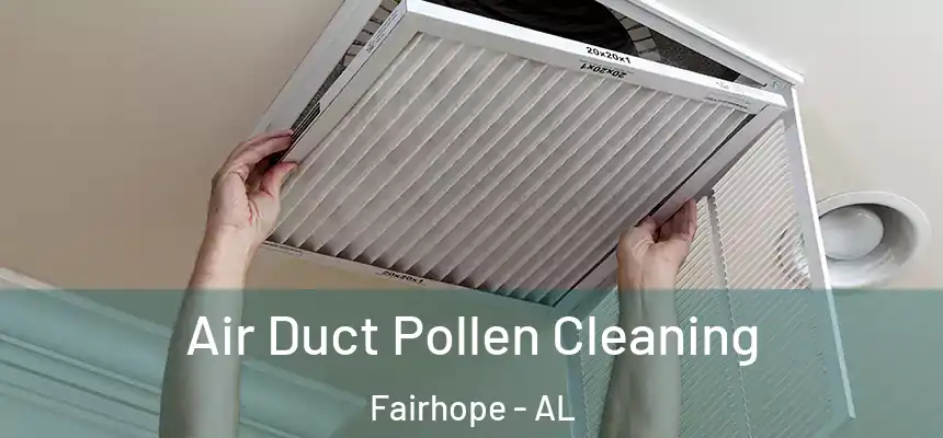  Air Duct Pollen Cleaning Fairhope - AL