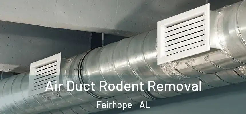  Air Duct Rodent Removal Fairhope - AL