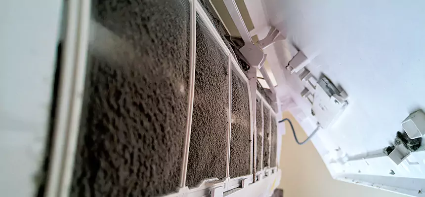 Preventive Air Duct Bacteria Removal in Fairhope