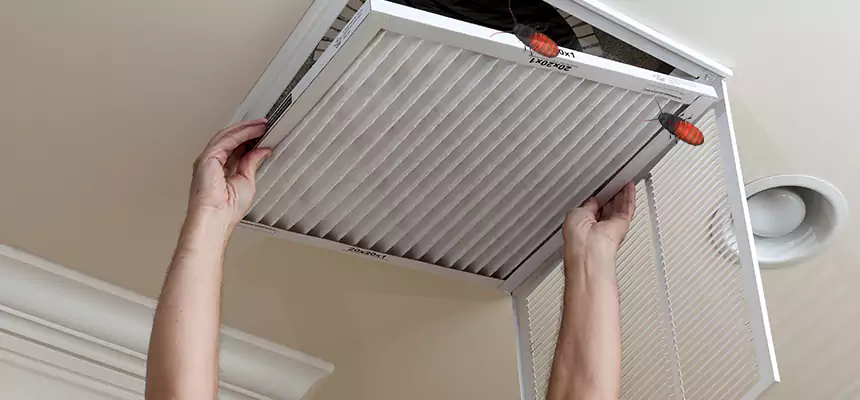 Preventive Cockroach-Proofing for Ducts in Fairhope