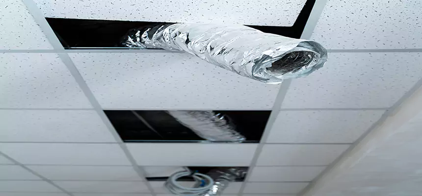 Our Air Duct Pet Hair Removal Services in Fairhope, AL