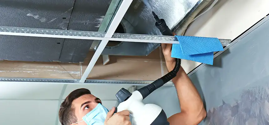 Our Air Duct Rodent Removal Services in Fairhope, AL