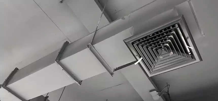 Our Rodent Droppings In Vents Services in Fairhope, AL