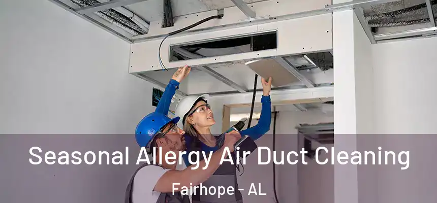  Seasonal Allergy Air Duct Cleaning Fairhope - AL
