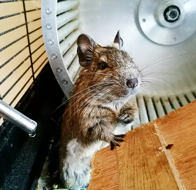 Why Homeowners & Businesses Trust Us Fairhope, AL