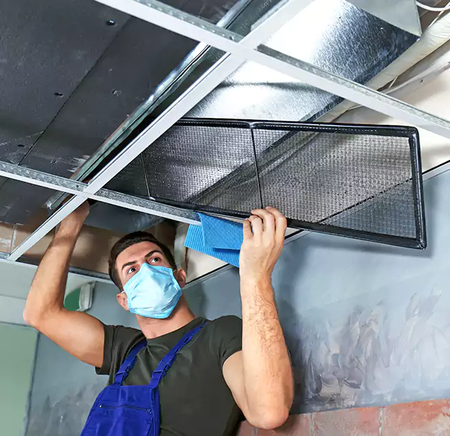 Why Homeowners Businesses Trust Us in Fairhope, AL